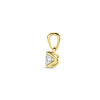 14-karaat-gouden-hanger-met-lab-grown-diamant-0-25-crt-briljant-geslepen-4-mm-breed-hoogte-9-5-mm
