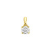 14-karaat-gouden-hanger-met-lab-grown-diamant-0-25-crt-briljant-geslepen-4-mm-breed-hoogte-9-5-mm