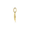 14-karaat-gouden-hanger-met-opengewerkt-blad-7-5-mm-breed-hoogte-17-mm