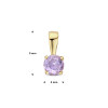 14-karaat-gouden-hanger-met-paarse-ronde-amethist-4-mm-breed-hoogte-9-mm