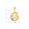 14-karaat-gouden-hanger-met-parelmoer-en-wereldbol-20-x-12-5-mm