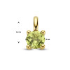 14-karaat-gouden-hanger-met-peridot-9-5-x-5-mm