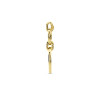 14-karaat-gouden-hanger-met-twee-cirkels-19-5-mm-x-38-mm