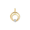 14-karaat-gouden-hanger-met-twee-open-cirkels-en-zirkonia-diameter-11-mm