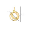 14-karaat-gouden-hanger-met-twee-verbonden-rondjes-diameter-15-mm
