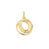 14-karaat-gouden-hanger-met-twee-verbonden-rondjes-diameter-15-mm