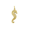 14-karaat-gouden-hanger-met-zeepaardje-9-5-mm-breed-hoogte-24-5-mm