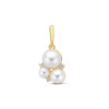 14-karaat-gouden-hanger-met-zoetwaterparel-en-zirkonia-s-7-5-mm-breed-hoogte-16-mm