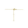 14-karaat-gouden-ketting-met-een-ronde-zirkonia-hanger-met-halo-6-3-mm-breed-lengte-40-42-44-cm