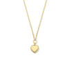14-karaat-gouden-ketting-met-hartjes-hanger-6-5-mm-breed-lengte-41-43-45-cm