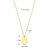 14-karaat-gouden-ketting-met-ovale-hanger-9-mm-x-12-mm-lengte-41-43-45-cm