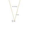 14-karaat-gouden-ketting-met-ronde-hanger-van-diamanten-0-13-crt-lengte-43-44-45-cm