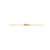14-karaat-gouden-ketting-met-twee-verbonden-open-druppels-1-5-mm-breed-lengte-45-cm
