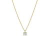 14-karaat-gouden-ketting-met-zirkonia-hanger-lengte-40-42-44-cm