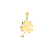 14-karaat-gouden-klavertje-11-5-mm-x-22-mm