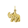 14-karaat-gouden-olifant-hanger-13-x-14-mm