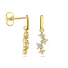 14-karaat-gouden-oorhangers-met-zirkonia-hoogte-18-5-mm