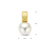 14-karaat-gouden-parelhanger-gescratcht-10-mm-x-17-mm