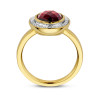 14-karaat-gouden-ring-met-0-18-crt-diamanten-en-rode-granaat-15-mm-breed