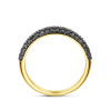 14-karaat-gouden-ring-met-drie-rijen-zwarte-diamant