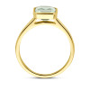 14-karaat-gouden-ring-met-groene-amethist-in-emerald-cut-10-mm-breed