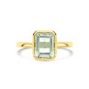 14-karaat-gouden-ring-met-groene-amethist-in-emerald-cut-10-mm-breed