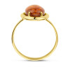 14-karaat-gouden-ring-met-ovale-ambersteen-glanzend-14-mm-breed