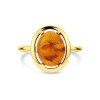 14-karaat-gouden-ring-met-ovale-ambersteen-glanzend-14-mm-breed