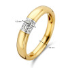 14-karaat-gouden-ring-met-witgouden-diamanten-tussenstuk-0-16-crt