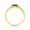14-karaat-gouden-ring-met-zirkonia-zwarte-en-transparante-stenen-4-mm-breed
