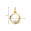 14-karaat-gouden-ronde-hanger-met-zirkonia-13-mm-x-19-mm