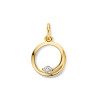 14-karaat-gouden-ronde-hanger-met-zirkonia-13-mm-x-19-mm