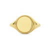 14-karaat-gouden-ronde-zegelring-met-een-bewerkte-rand-11-5-mm-breed
