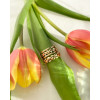 14-karaat-gouden-schakelring-met-bladeren-schakels-en-diamanten-0-04-crt