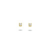 14-karaat-gouden-vierkante-oorknopjes-met-zirkonia-1-5-mm-breed