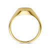 14-karaat-gouden-zegelring-10-mm-zegel