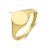 14-karaat-gouden-zegelring-10-mm-zegel