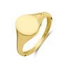 14-karaat-gouden-zegelring-10-mm-zegel