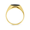 14-karaat-gouden-zegelring-met-glanzende-onyx-steen-11-mm-breed
