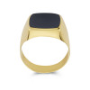 14-karaat-gouden-zegelring-met-onyx