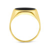 14-karaat-gouden-zegelring-met-ovale-onyx-glanzend-afgewerkt-11-mm-breed