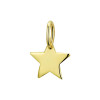 14-karaat-graveer-ster-14-x-9-8-mm