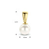14-karaat-hanger-met-parel-diameter-6-mm