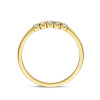 14-karaat-memoire-ring-met-vijf-diamanten-0-15-crt