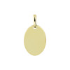 14-karaat-ovale-graveerhanger-15-x-10-mm