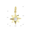 14-karaat-poolster-hanger-met-zirkonia-15-x-9-mm