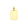 9-karaat-goudkleurige-graveerhanger-met-rechthoekige-vorm-11-mm-breed-hoogte-20-mm