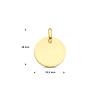 9-karaat-goudkleurige-graveerhanger-rond-13-5-mm-breed-hoogte-18-mm
