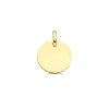 9-karaat-goudkleurige-graveerhanger-rond-13-5-mm-breed-hoogte-18-mm