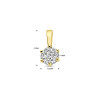 9-karaat-goudkleurige-hanger-met-briljant-geslepen-zirkonia-4-5-mm-breed-hoogte-9-mm